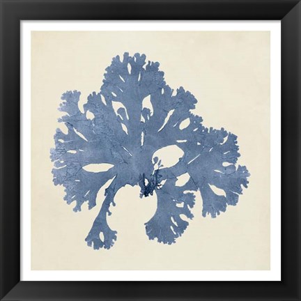 Framed Chromatic Seaweed V Print