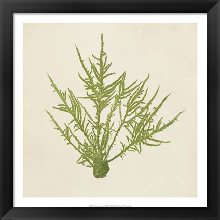 Framed Chromatic Seaweed VII Print