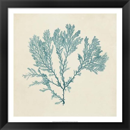 Framed Chromatic Seaweed VIII Print