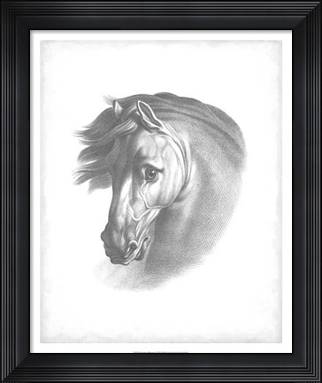 Framed Equestrian Blueprint I Print
