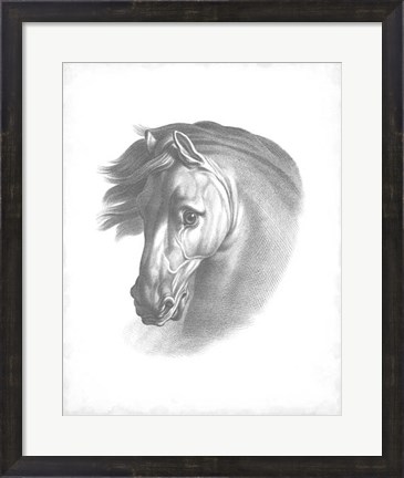Framed Equestrian Blueprint I Print
