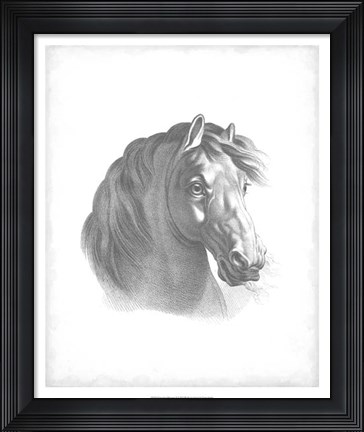 Framed Equestrian Blueprint II Print