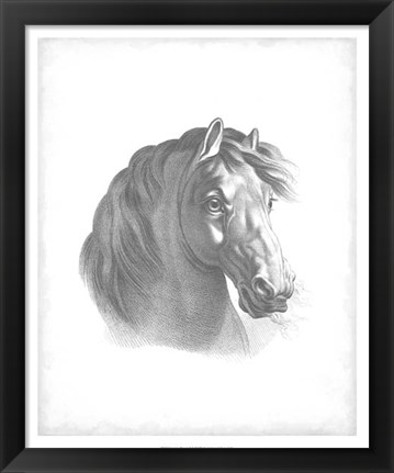 Framed Equestrian Blueprint II Print
