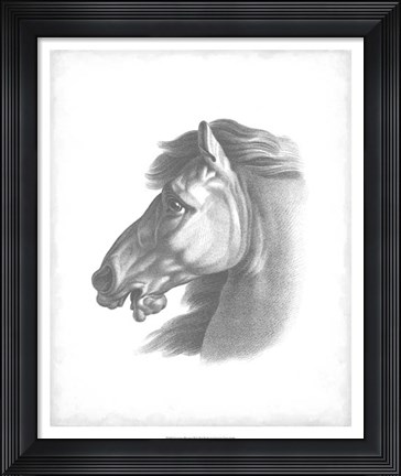 Framed Equestrian Blueprint III Print