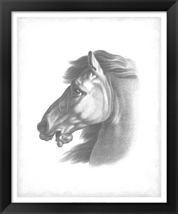 Framed Equestrian Blueprint III Print
