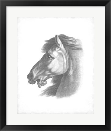 Framed Equestrian Blueprint III Print