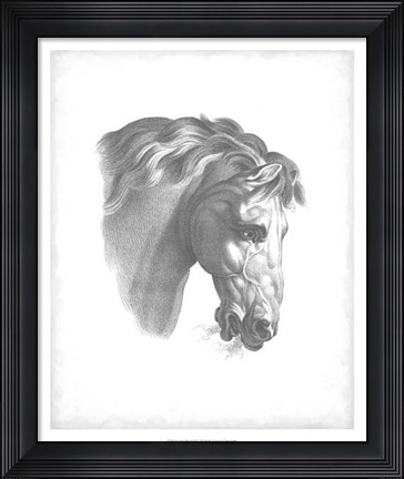 Framed Equestrian Blueprint IV Print