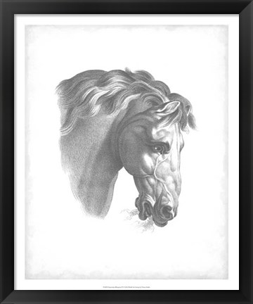 Framed Equestrian Blueprint IV Print