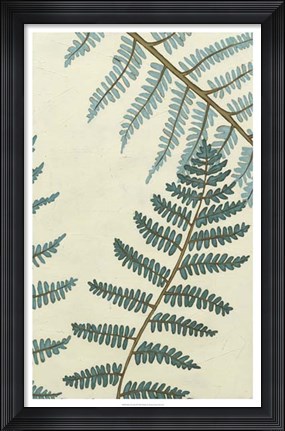 Framed Blue Fern Trio II Print