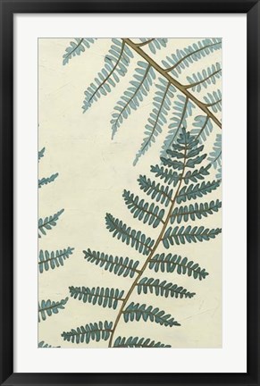 Framed Blue Fern Trio II Print