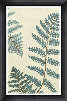 Framed Blue Fern Trio III Print