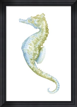 Framed Watercolor Seahorse II Print