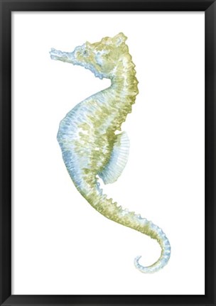 Framed Watercolor Seahorse II Print