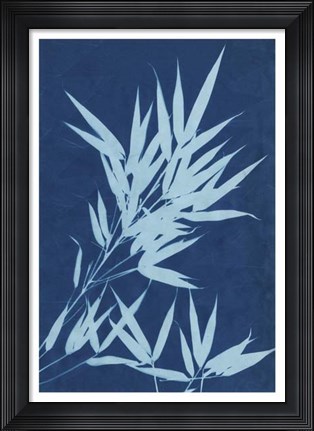 Framed Cyanotype No.1 Print
