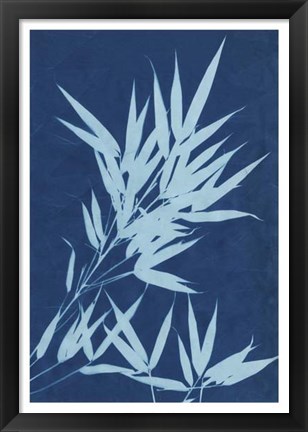 Framed Cyanotype No.1 Print