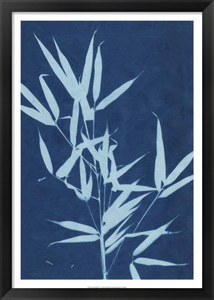 Framed Cyanotype No.2 Print