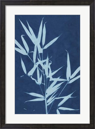 Framed Cyanotype No.2 Print