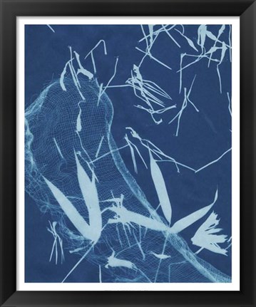 Framed Cyanotype No.5 Print