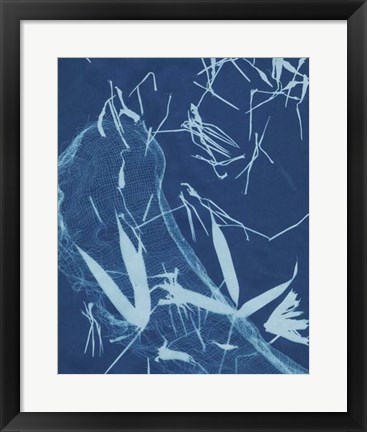 Framed Cyanotype No.5 Print