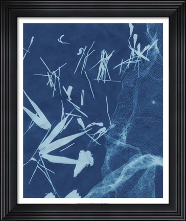 Framed Cyanotype No.6 Print