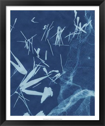 Framed Cyanotype No.6 Print