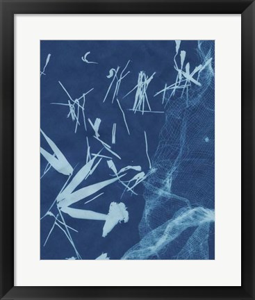 Framed Cyanotype No.6 Print