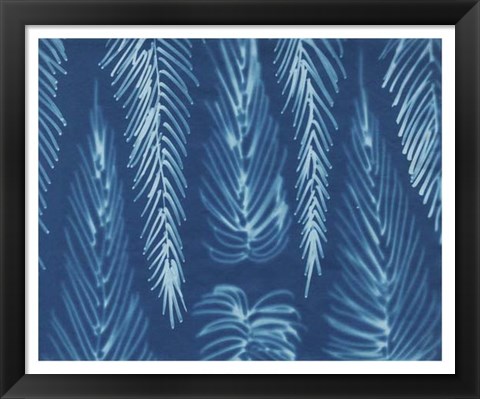 Framed Cyanotype No.7 Print