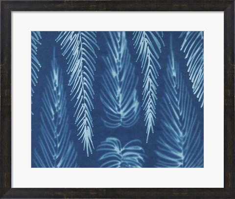 Framed Cyanotype No.7 Print