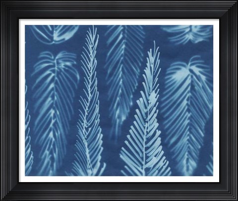 Framed Cyanotype No.8 Print