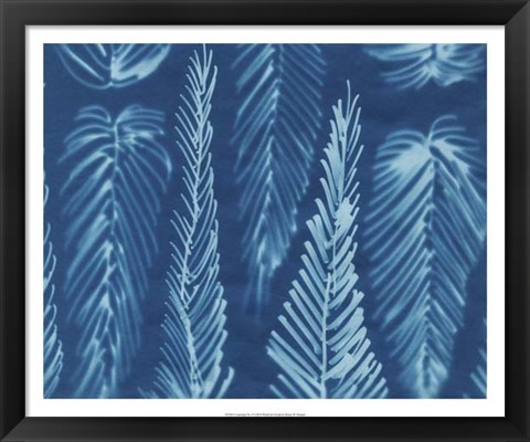 Framed Cyanotype No.8 Print