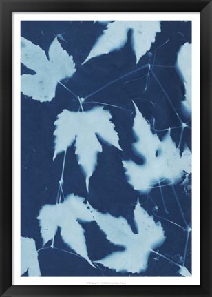 Framed Cyanotype No.10 Print