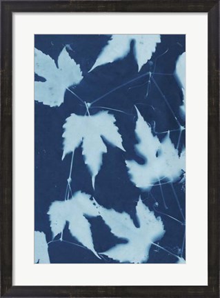Framed Cyanotype No.10 Print