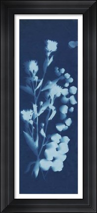 Framed Cyanotype No.14 Print