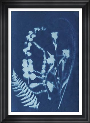 Framed Cyanotype No.16 Print