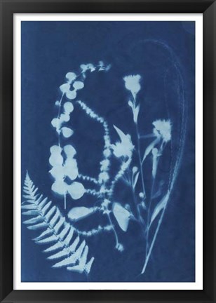 Framed Cyanotype No.16 Print