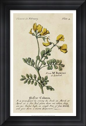 Framed Gardener's Guide I Print