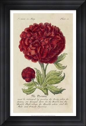 Framed Gardener&#39;s Guide III Print