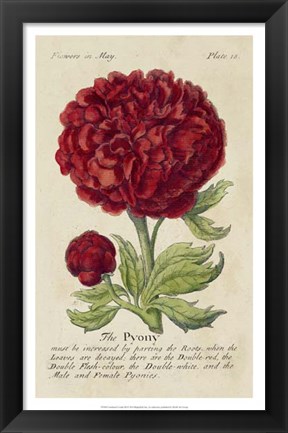Framed Gardener&#39;s Guide III Print