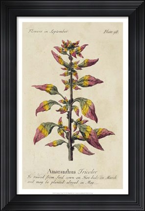 Framed Gardener's Guide VI Print