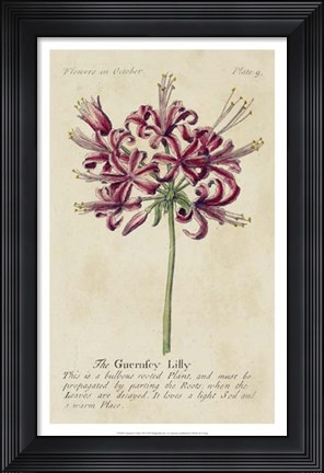 Framed Gardener's Guide VII Print