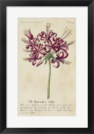 Framed Gardener&#39;s Guide VII Print