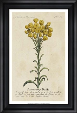 Framed Gardener's Guide VIII Print
