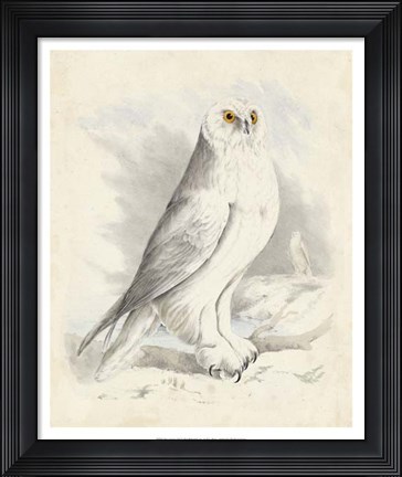 Framed Meyer Snowy Owl Print