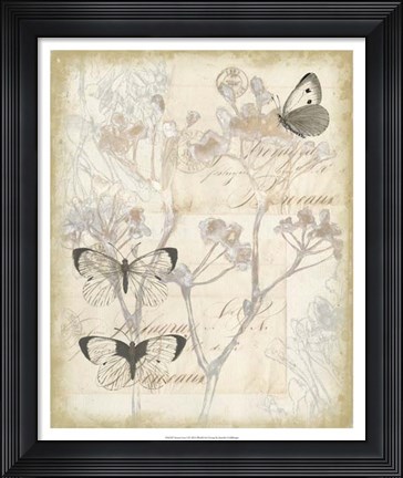 Framed Sunset Lace I Print