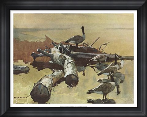 Framed Geese on the Great Flyway Print