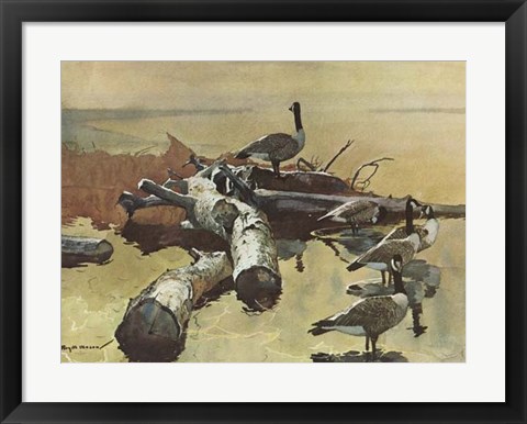 Framed Geese on the Great Flyway Print
