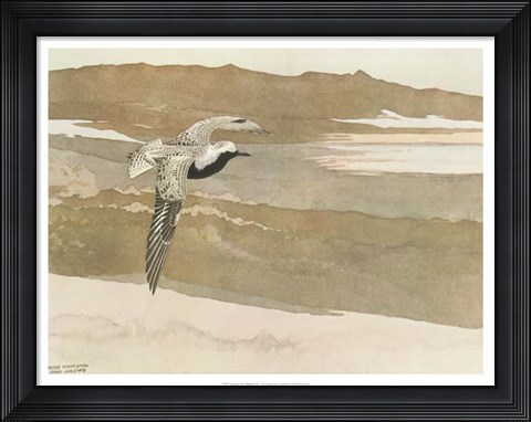 Framed Soaring Print