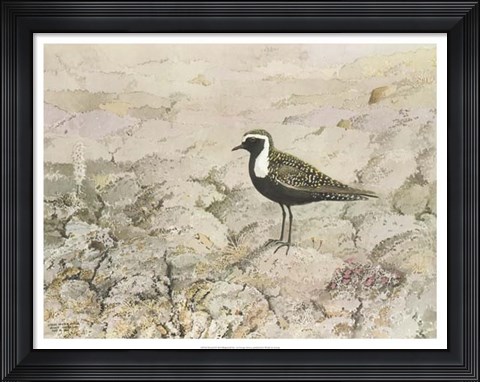 Framed Perched Print