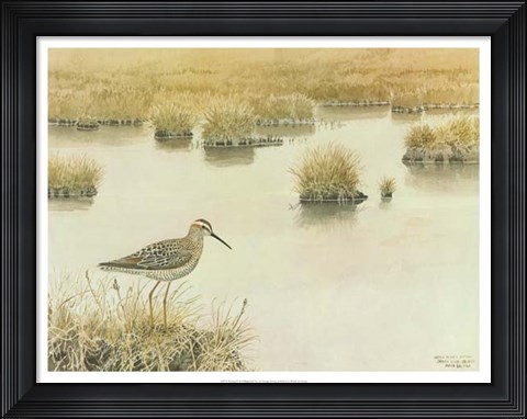 Framed Waiting Print