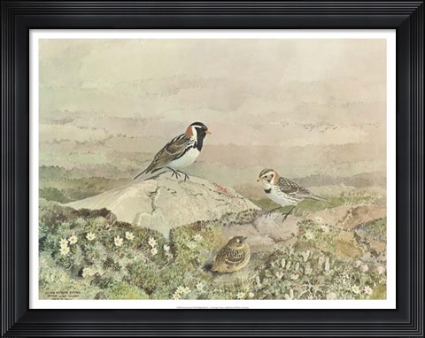 Framed Gathering Print